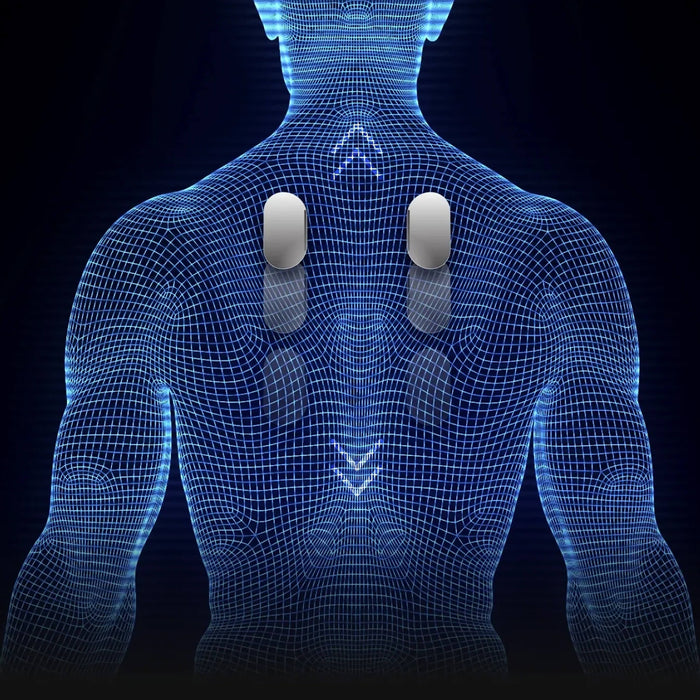 Blue wireframe human body model with two white pills on a black background