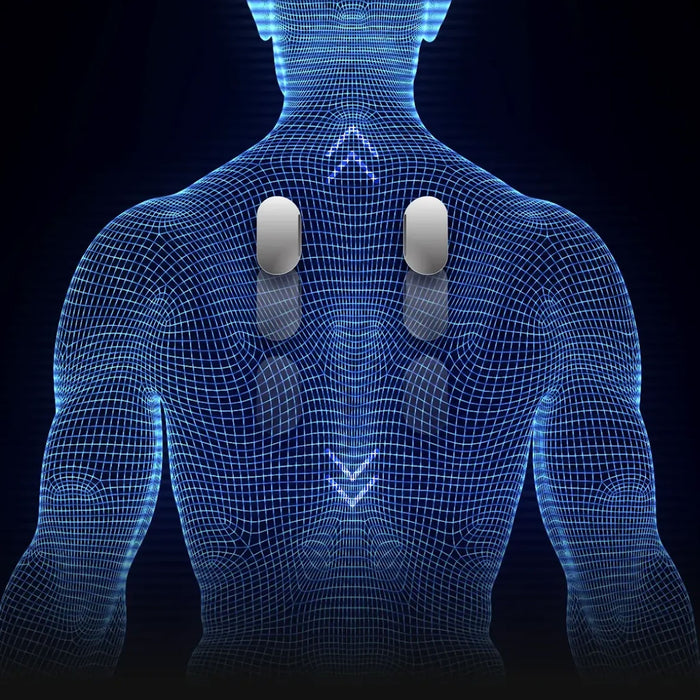 Blue wireframe human figure with two white objects on a black background